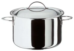 Spring Cristal Kookpan Met Deksel ø 24 Cm Rvs Glans